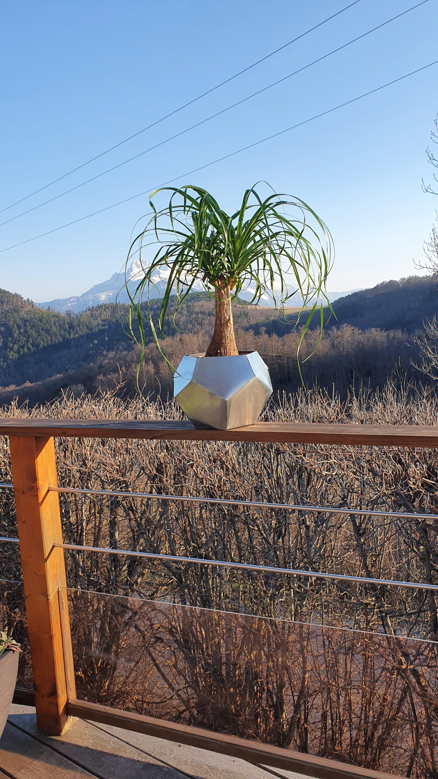 Cache-pots