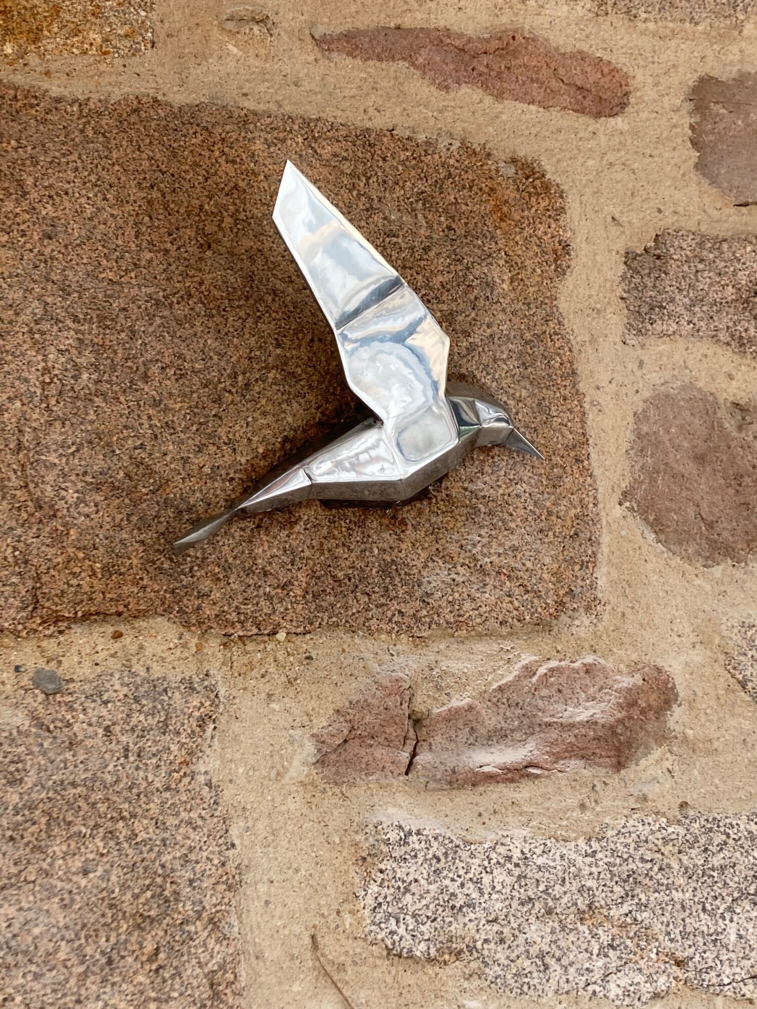 Oiseaux